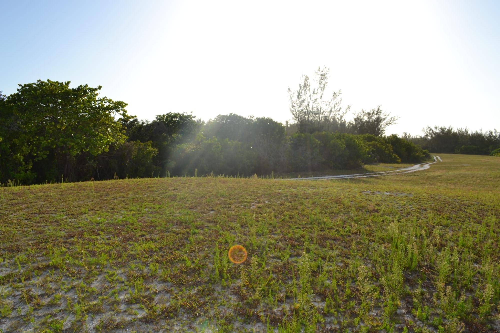 LOT  D QUEENS HIGHWAY Land Andros