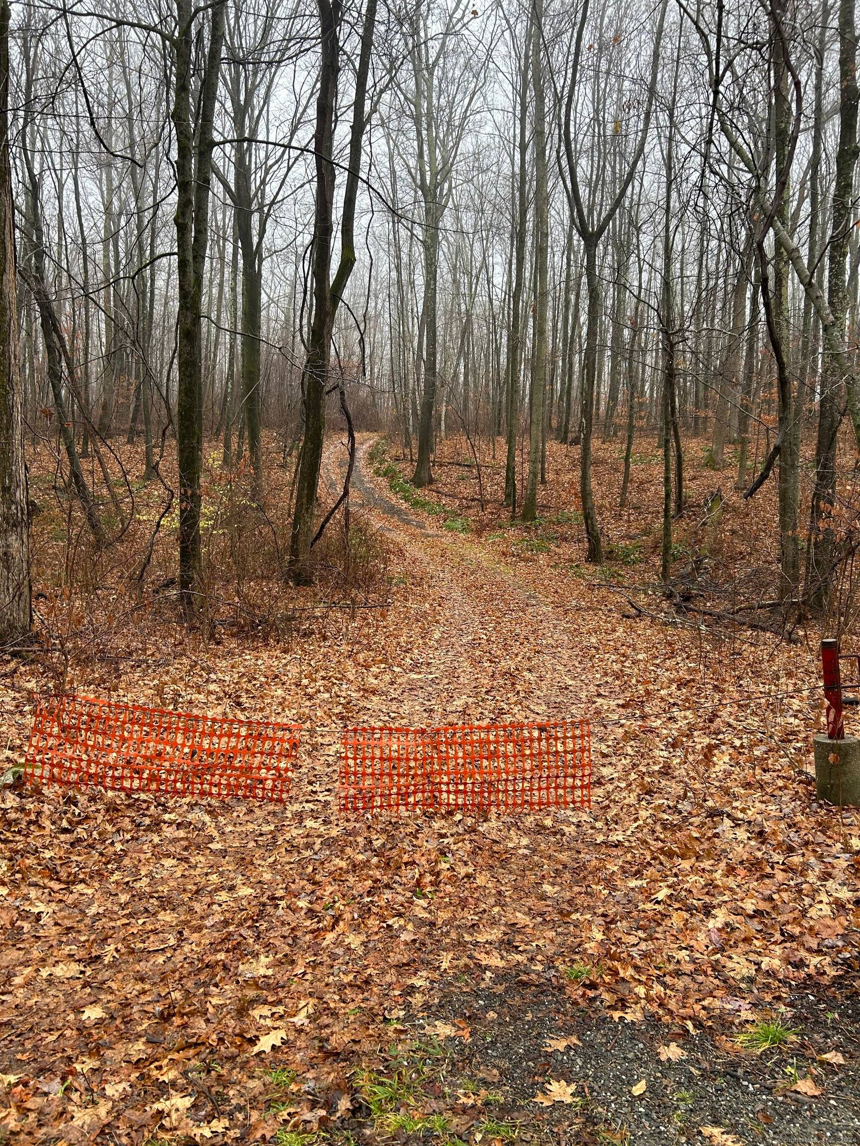 This nearly 15 acres of quiet woods, nestled between National Audubon lands to the north and NW Land Conservancy to the south, assures ultimate privacy while only minutes from the ...