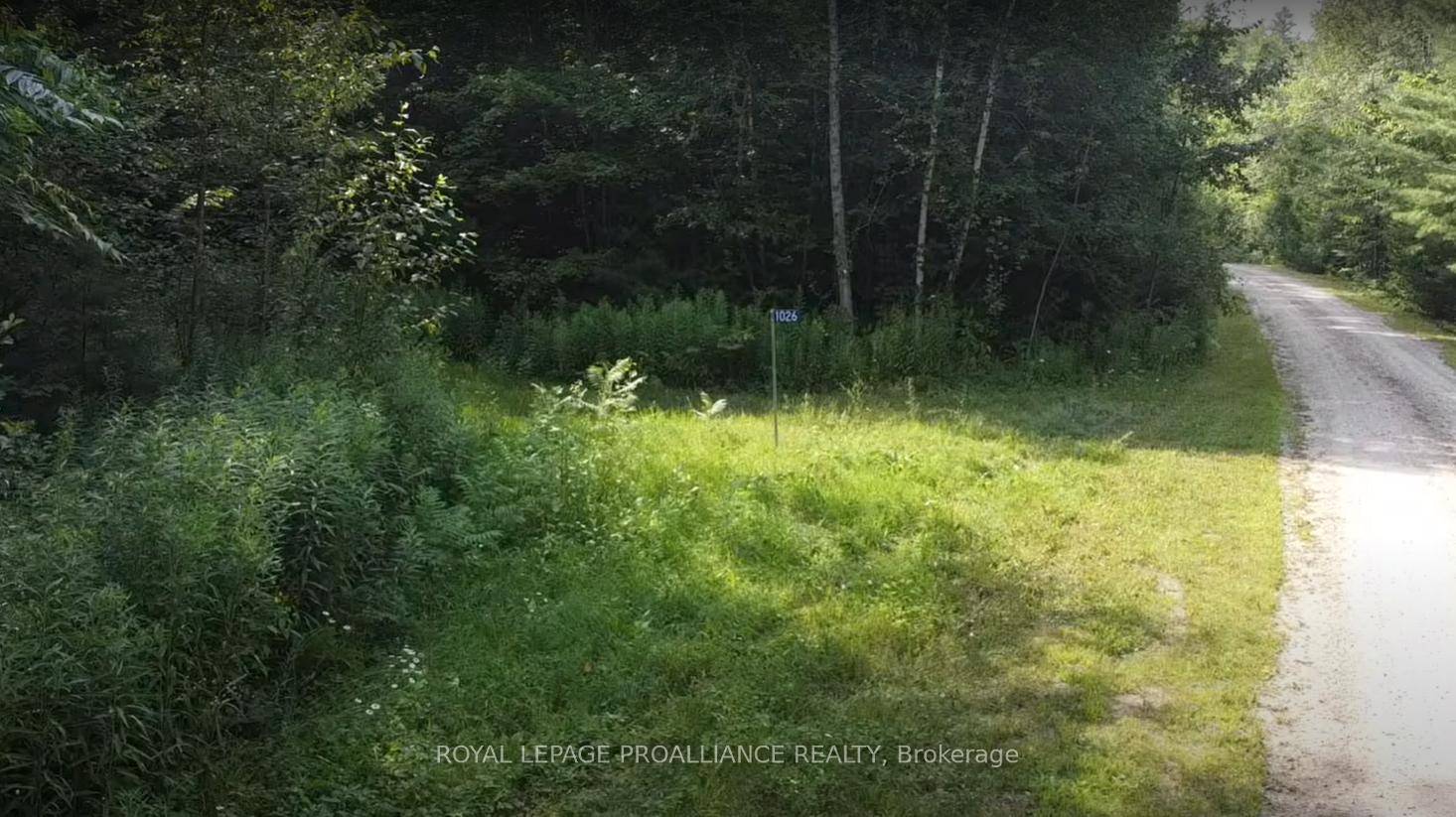 Looking for that perfect lot ?