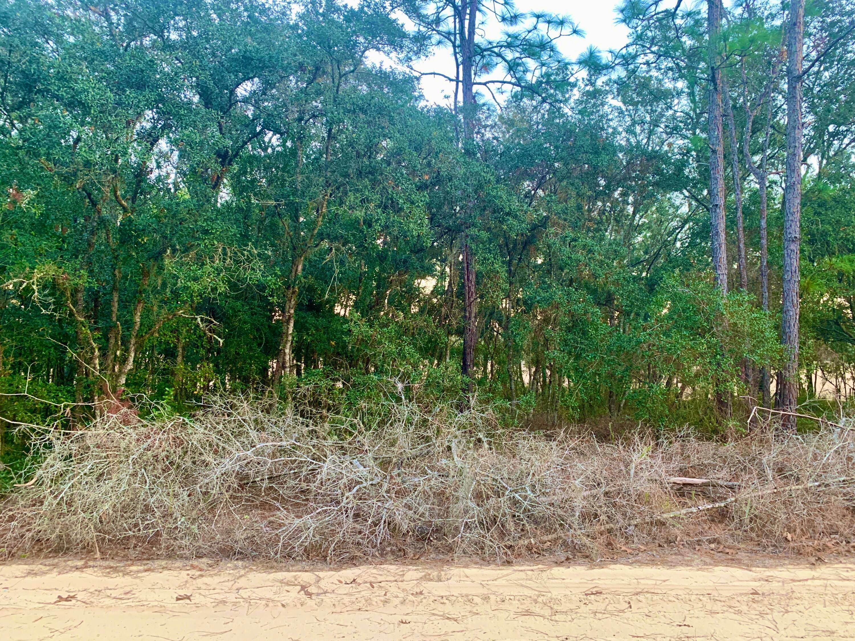 Don't miss this perfect opportunity to own a prime lot in a quiet, established neighborhood surrounded by beautiful new homes.