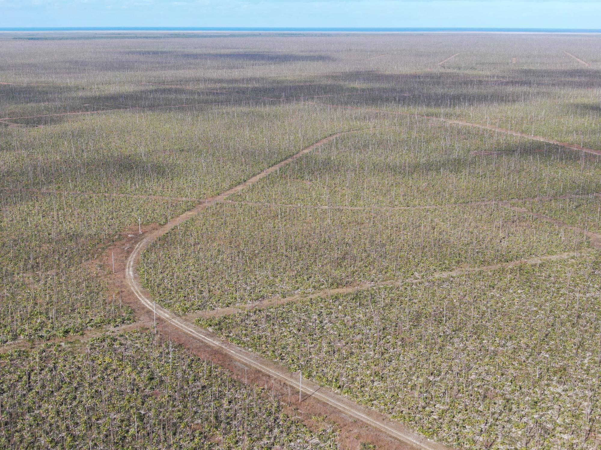 LUCAYA ESTATES Land Grand-Bahama-Freeport
