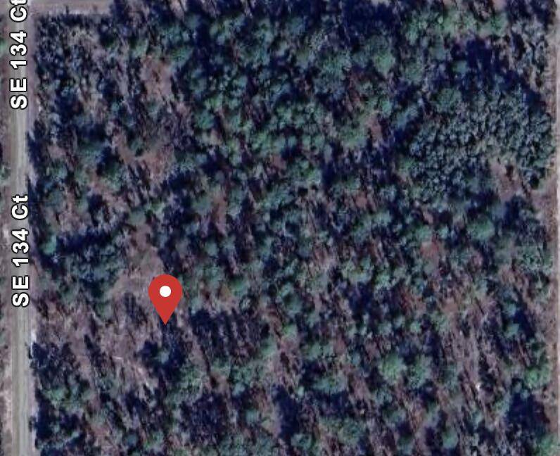 Discover a prime 1 acre lot in the serene Rainbow Lakes Estates of Dunnellon, Florida.