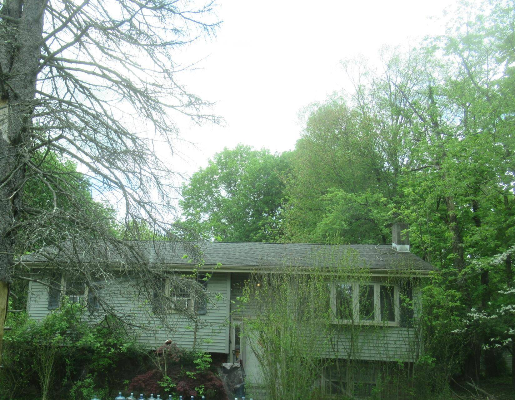 4 Bedroom, 1. 5 Bathroom Raised Ranch in Woodbury !