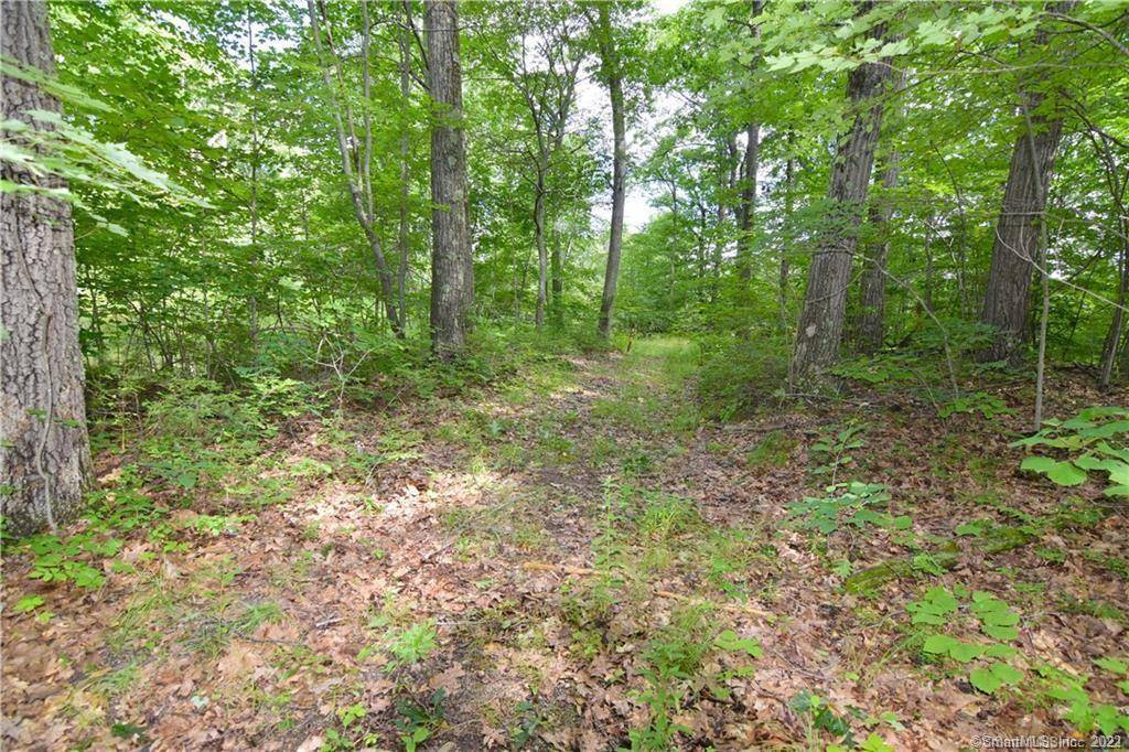 Open Lot with Great Opportunity to Build !