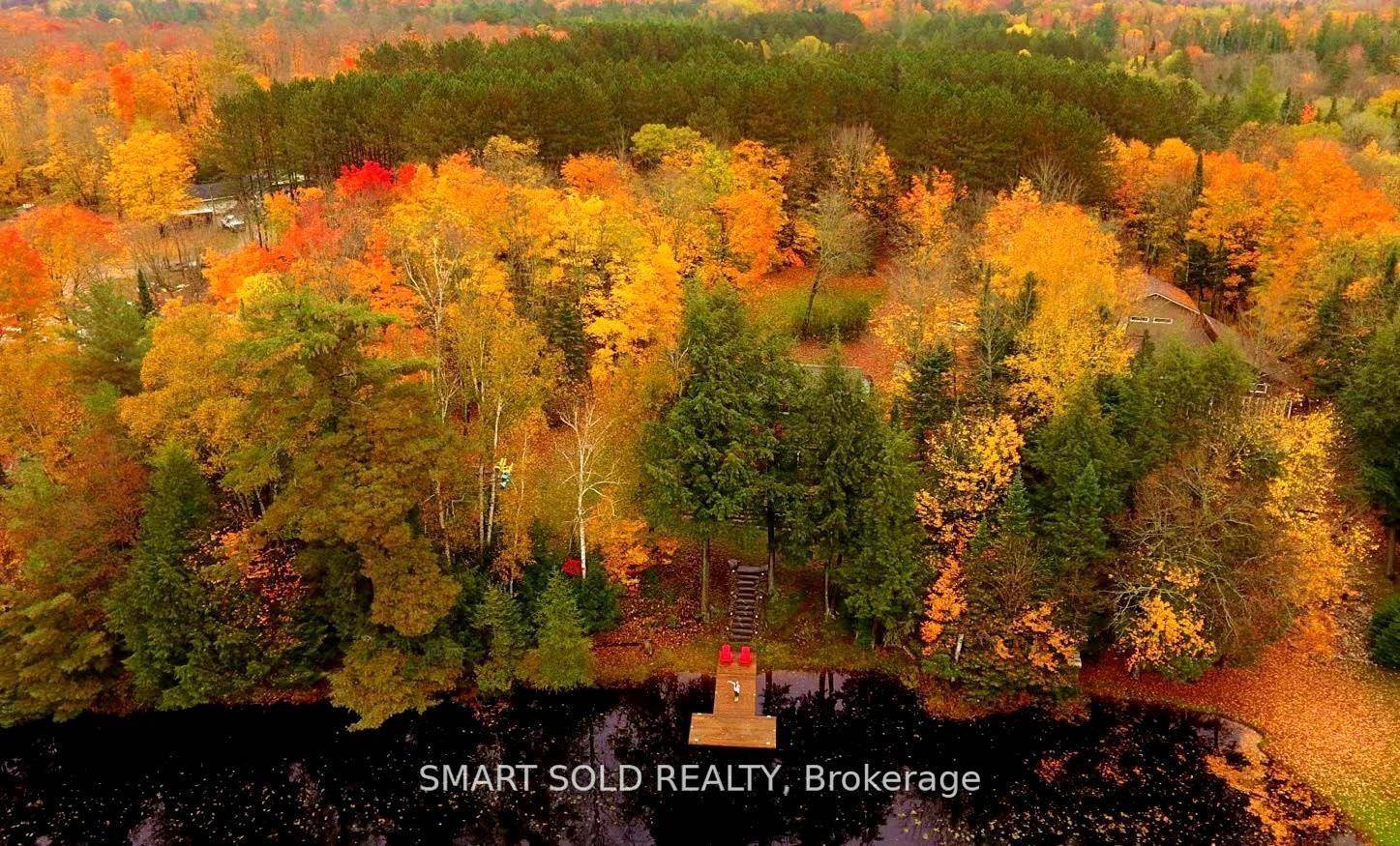 Rare Opportunity To Own A Year Round 4 Season Cottage On A 1.
