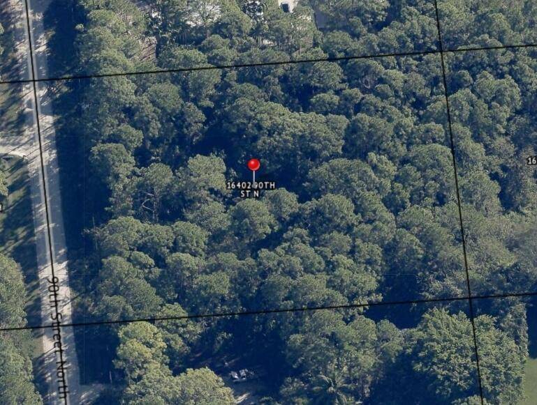 If your looking for the place to build your dream home look no further than this amazing high and dry parcel.