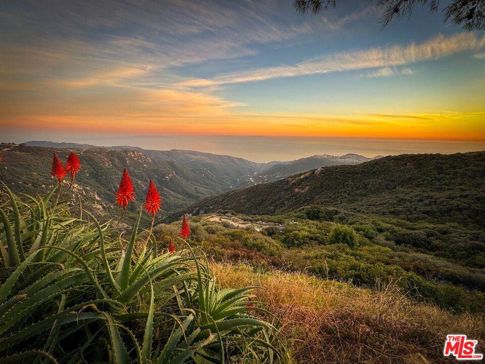 23633   Dresser Rd Malibu La