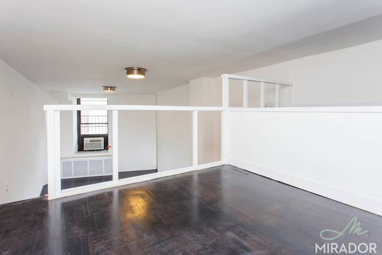Gut renovated large one bedroom with a storage loft above living room has high ceilings and brand new hardwood floors.