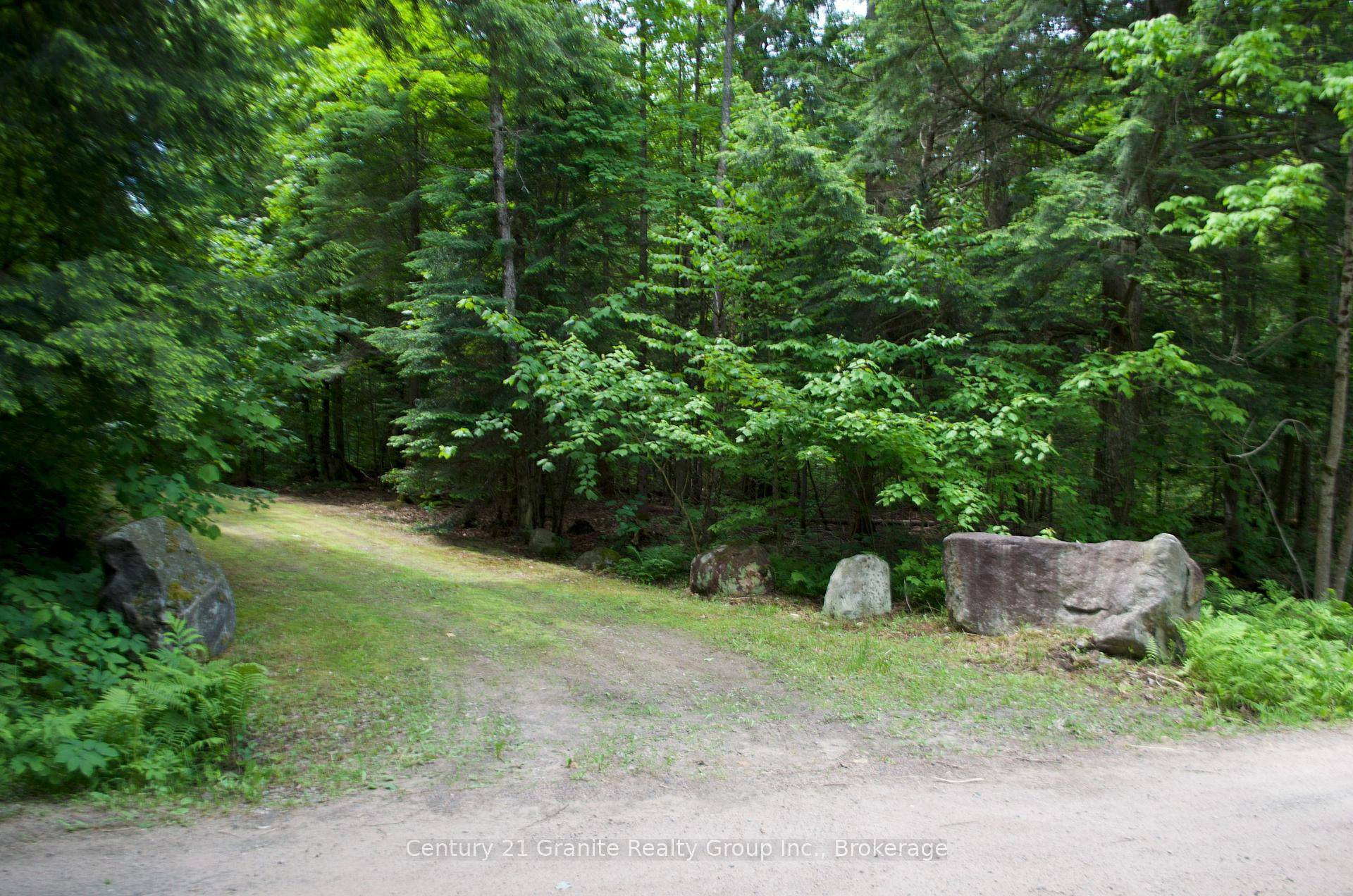 Escape to your own private slice of paradise with this nearly 3 acre wooded lot on Loon Lake Road just East of downtown Haliburton.