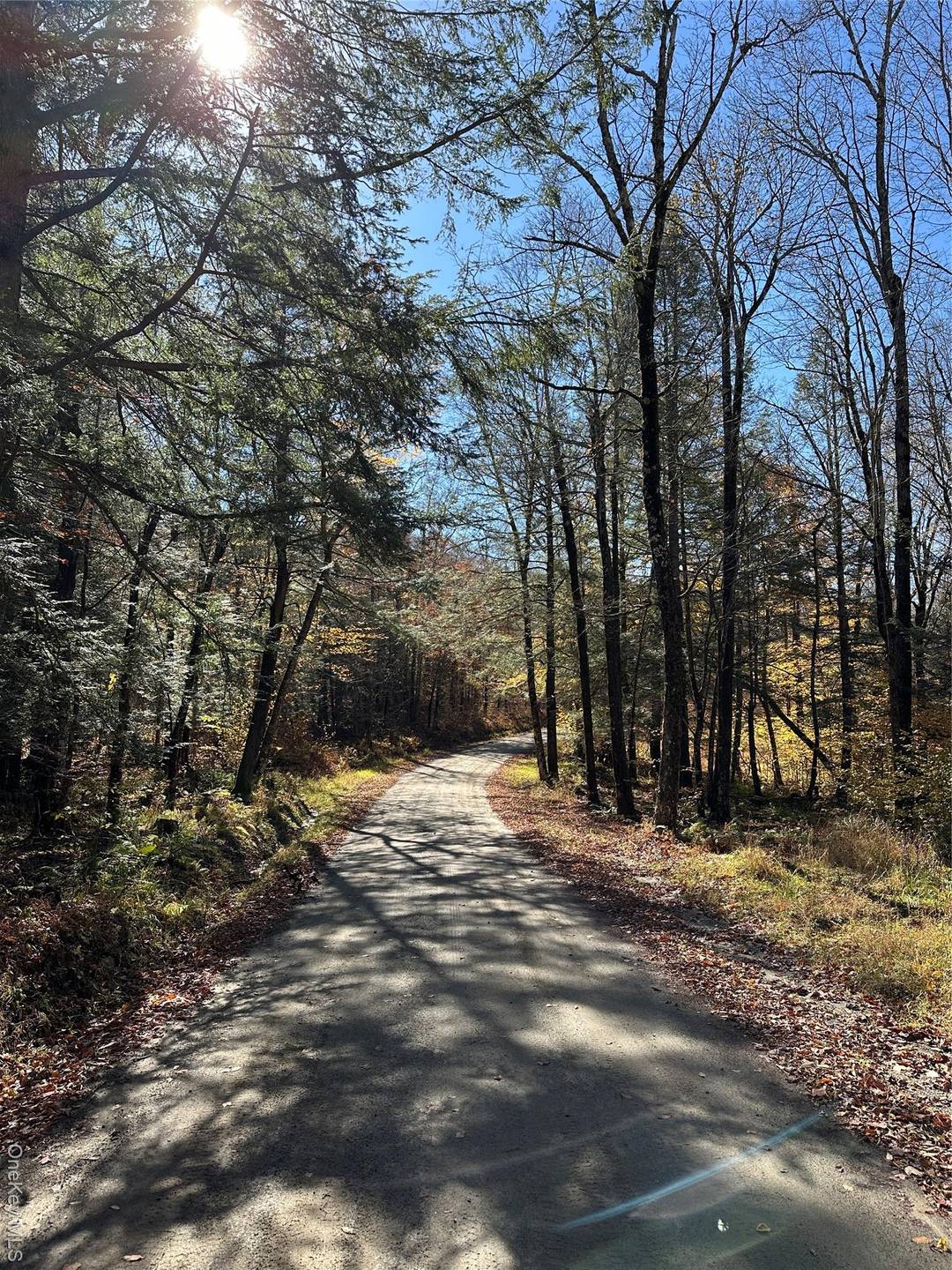 Discover this incredible 130 acre Livingston Manor corner lot located just off Little Ireland Road at the start of Mud Pond Road a rare large parcel in one of the ...