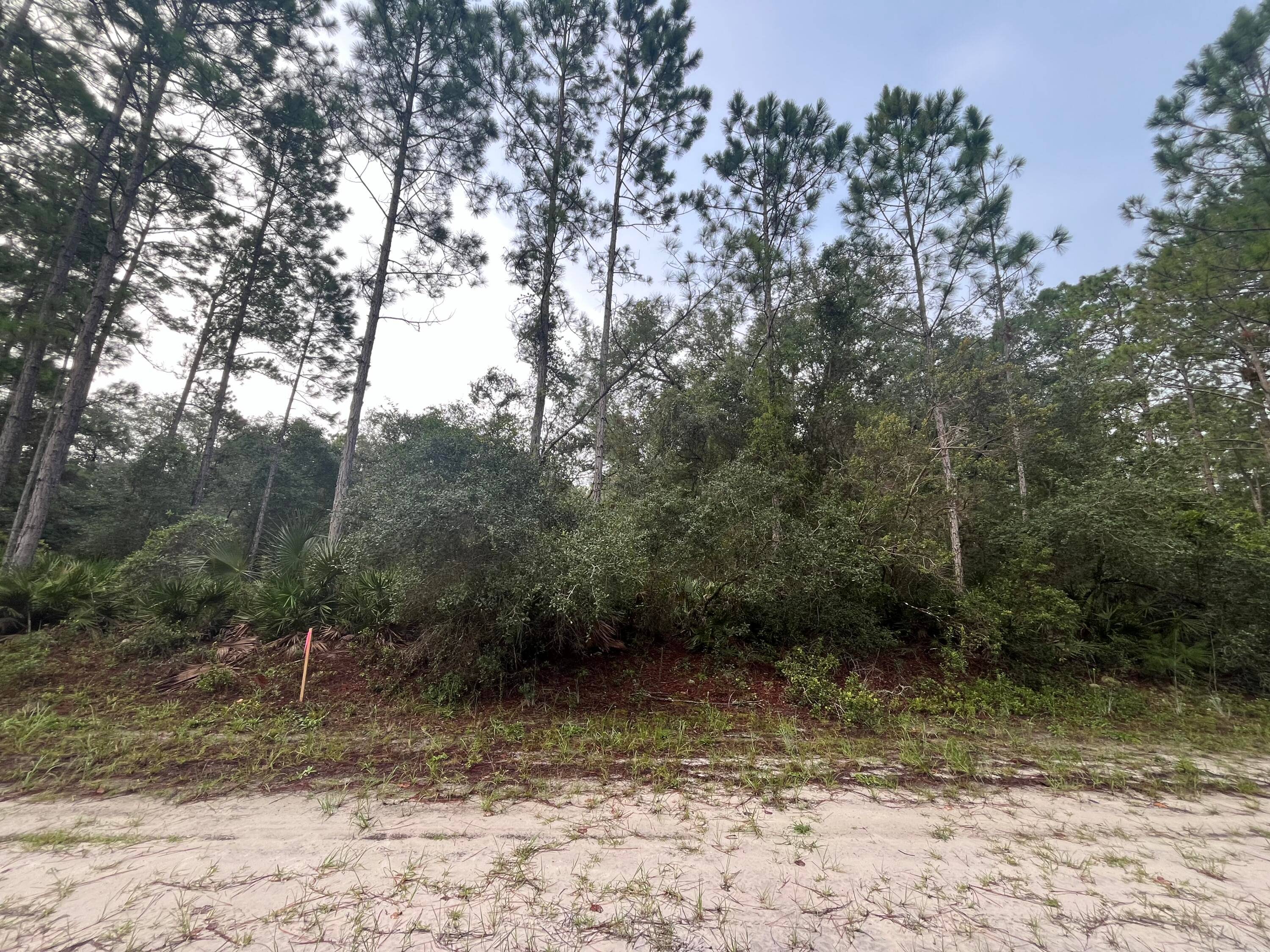 FINANCING AVAILABLE ! Country living at its finest !
