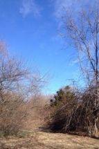 10 Flying Point rd, Water Mill NY 11976