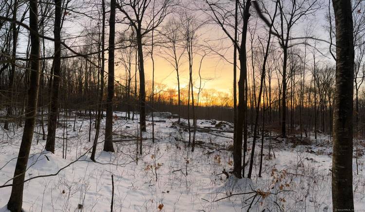 Farm, Luxury Home or Possibly Affordable Housing.