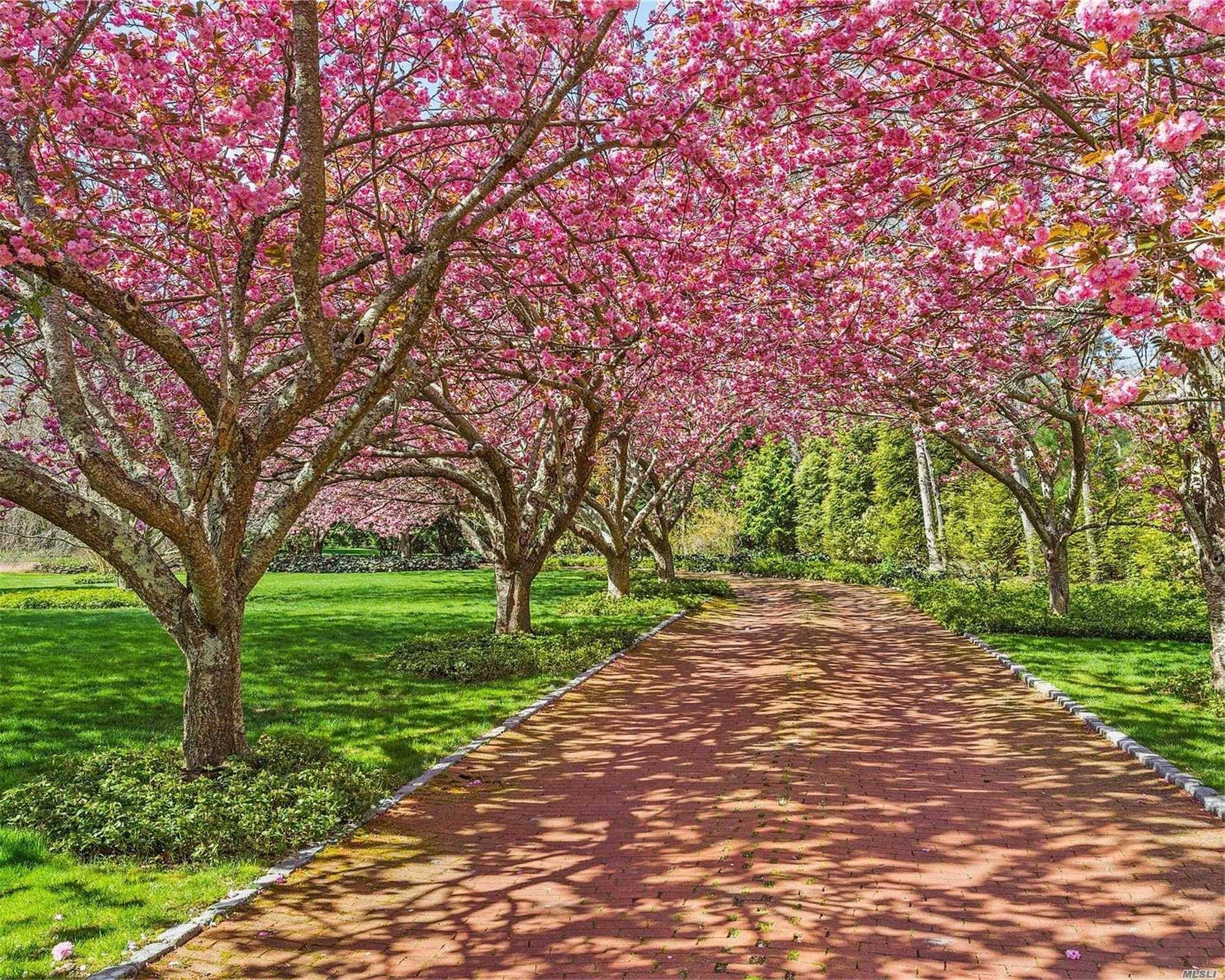 Classic Quogue Mansion Private, Spacious, Elegant For The Most Discerning Buyer Immediate Occupancy.