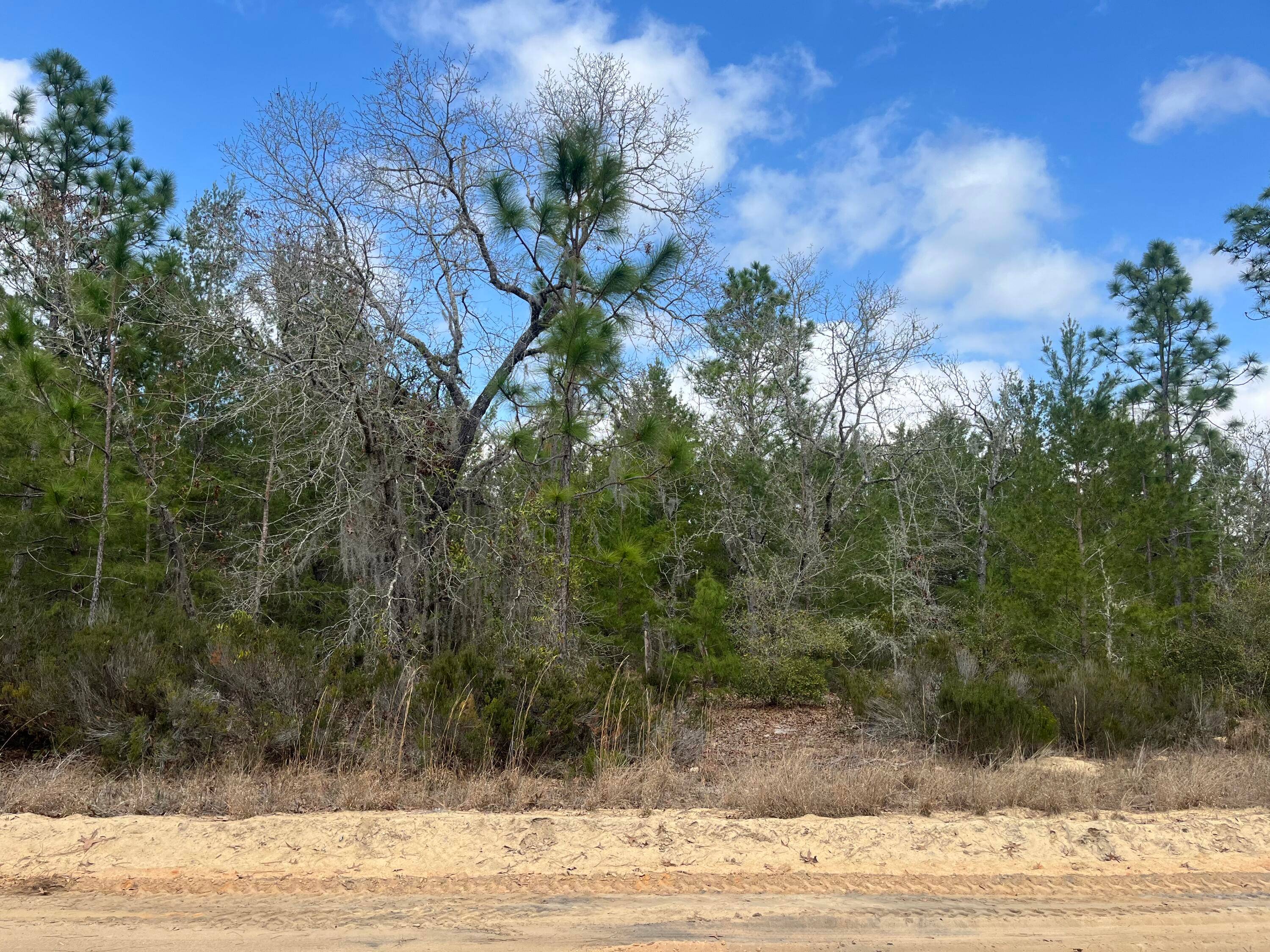 Owner financing is available !
