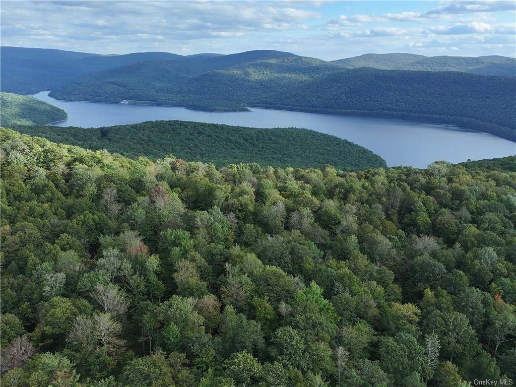 Spectacular large private acreage located just East of Downsville near Pepacton Reservoir.