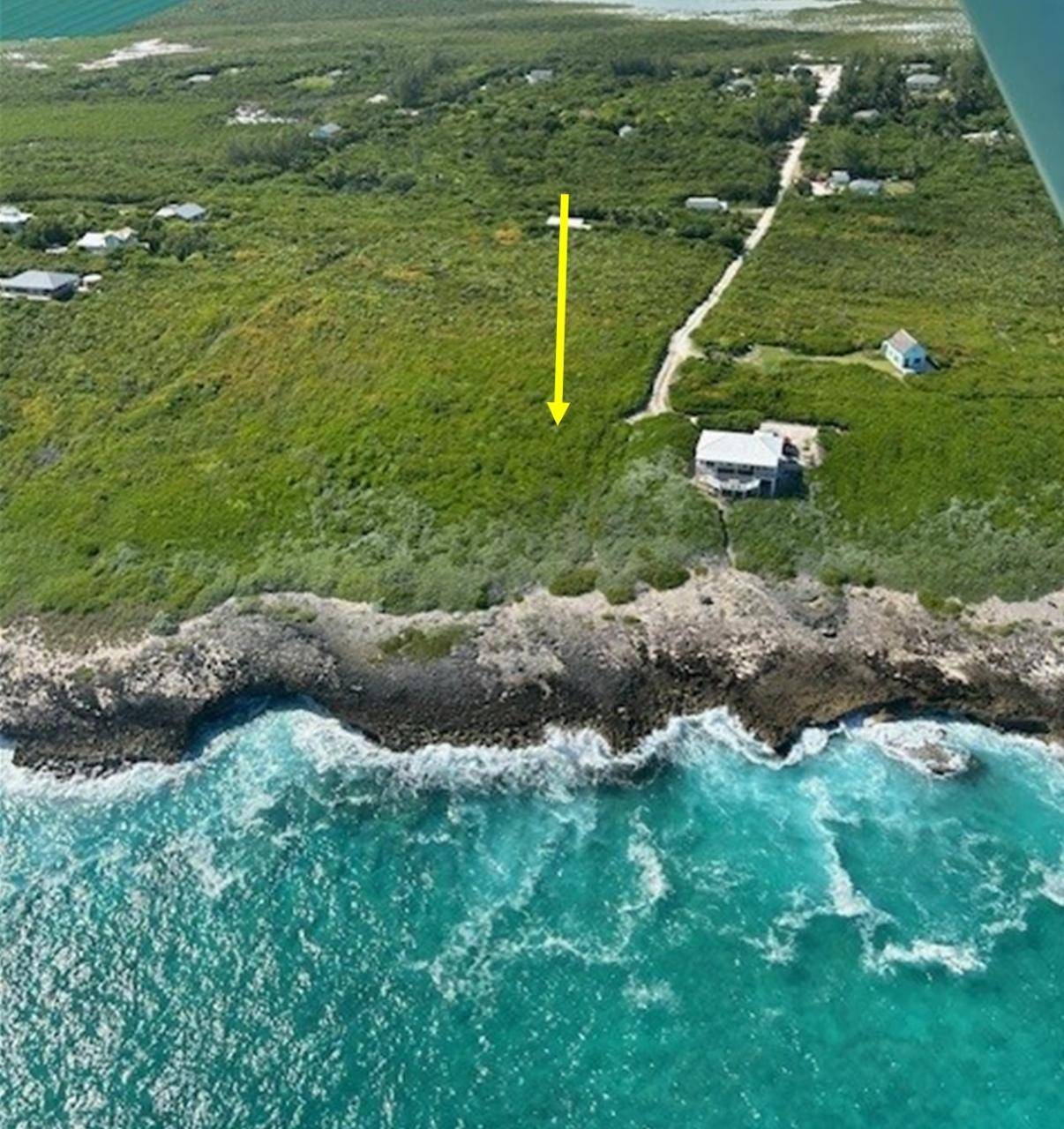 YELLOW WOOD, CHEROKEE Land Abaco