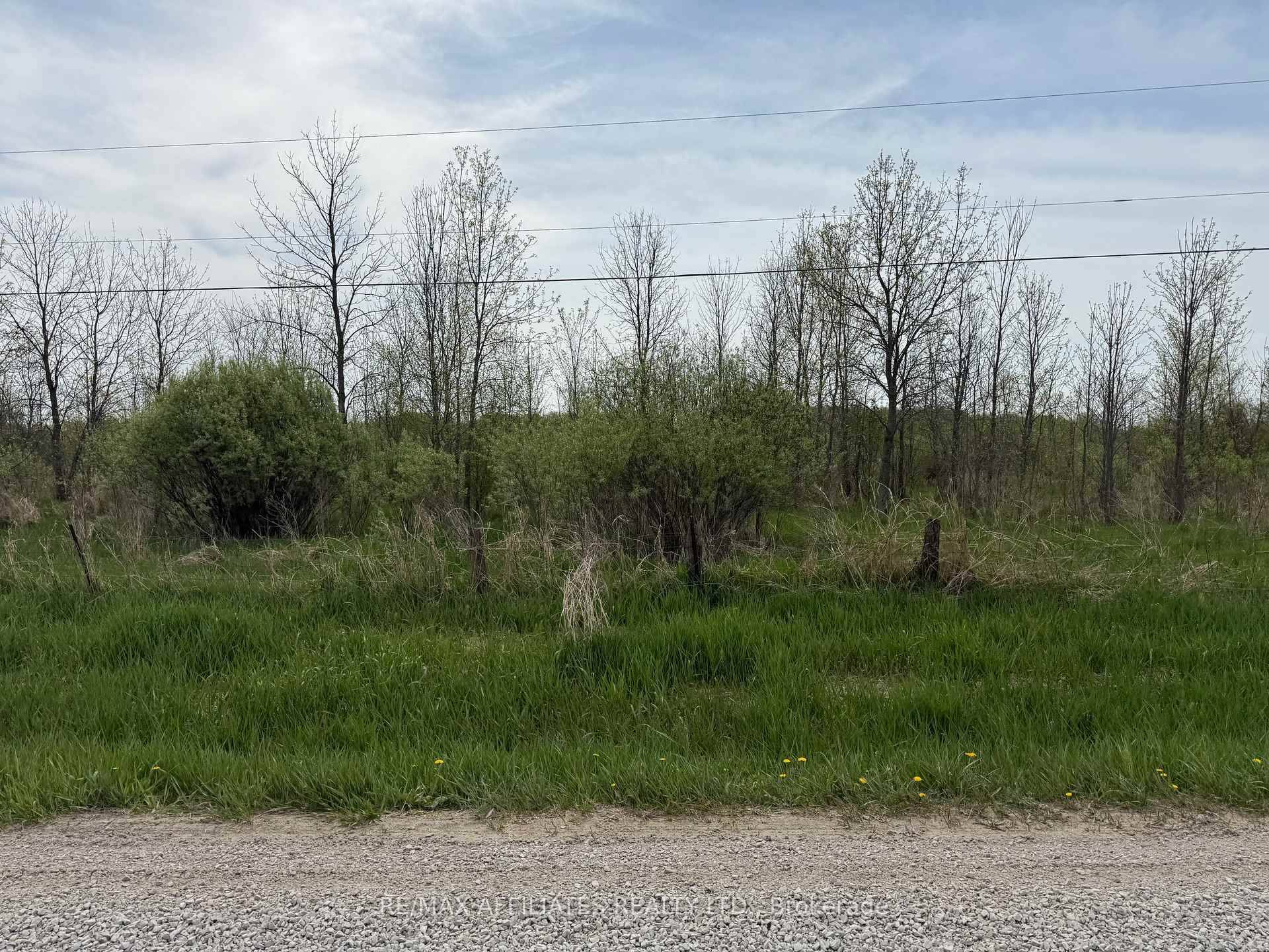 Looking for a piece of land to call your own, this 104 acre parcel offer loots of room to roam and enjoy nature.