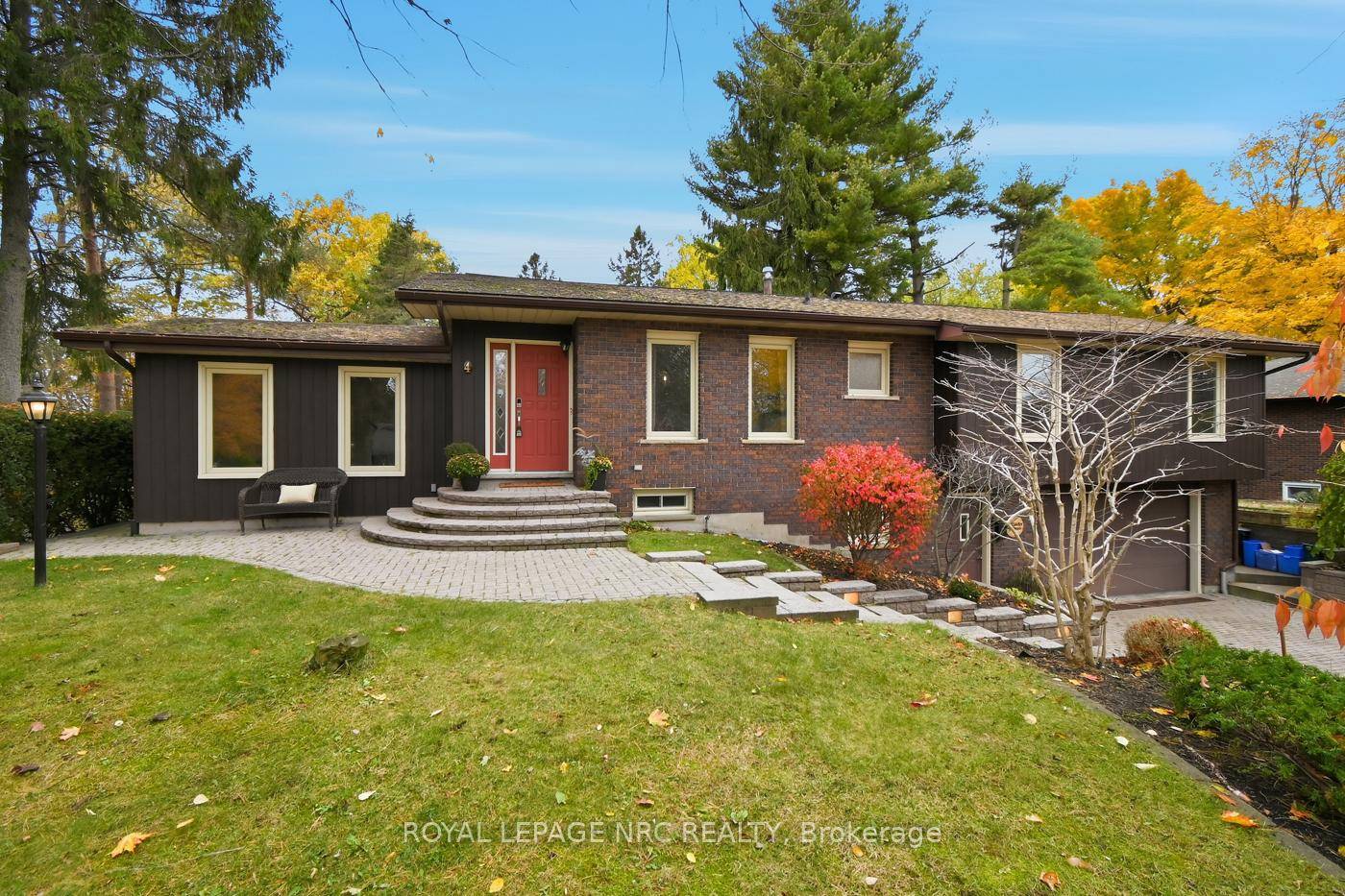 There's something special about life on Cedar Street.