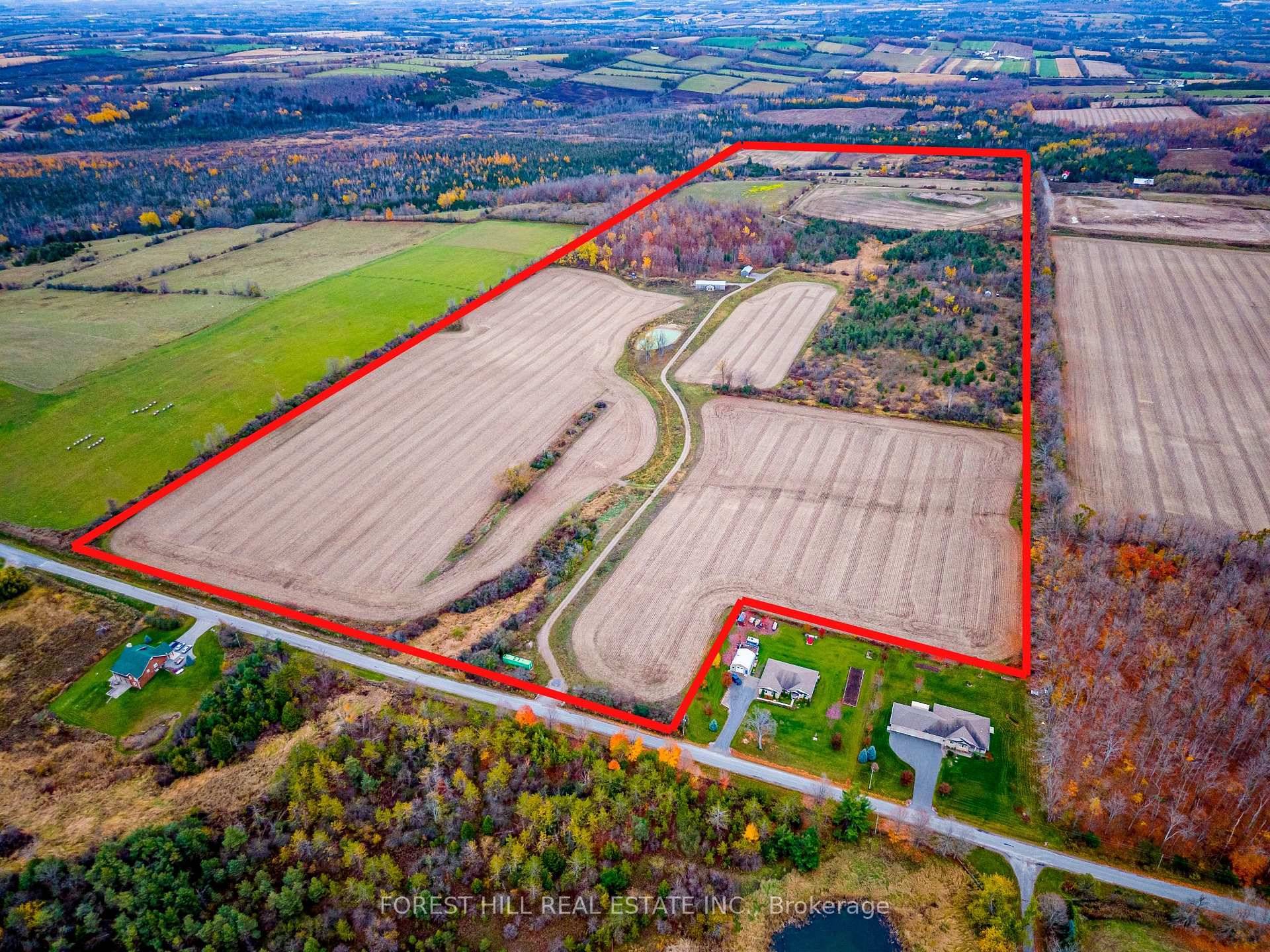Discover 173 acres of prime farmland with endless potential and scenic rural views.