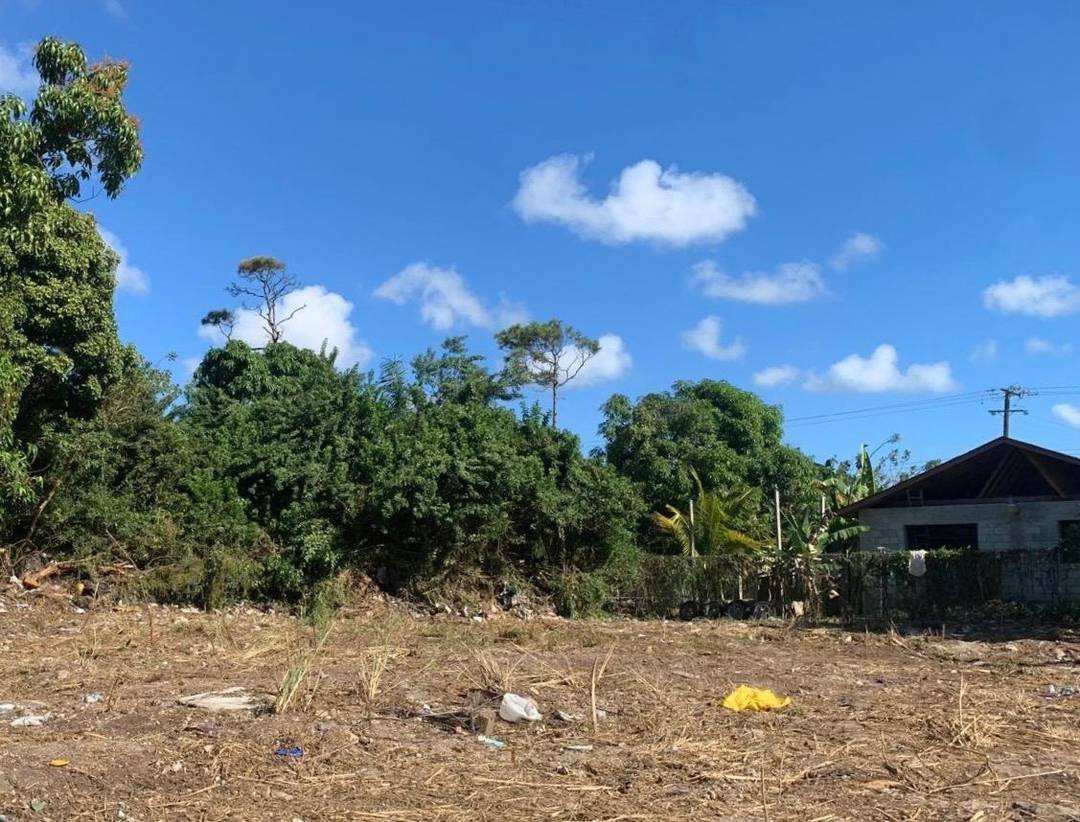 LOT 188 JOAN'S HEIGHTS Land New-Providence