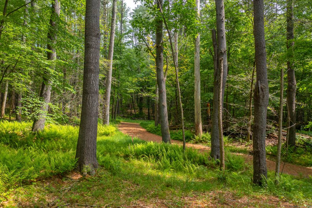 Tucked away off a peaceful country road in the charming hamlet of Cornwall Bridge, Connecticut, this secluded 19 acre parcel offers a rare opportunity to create a private haven in ...