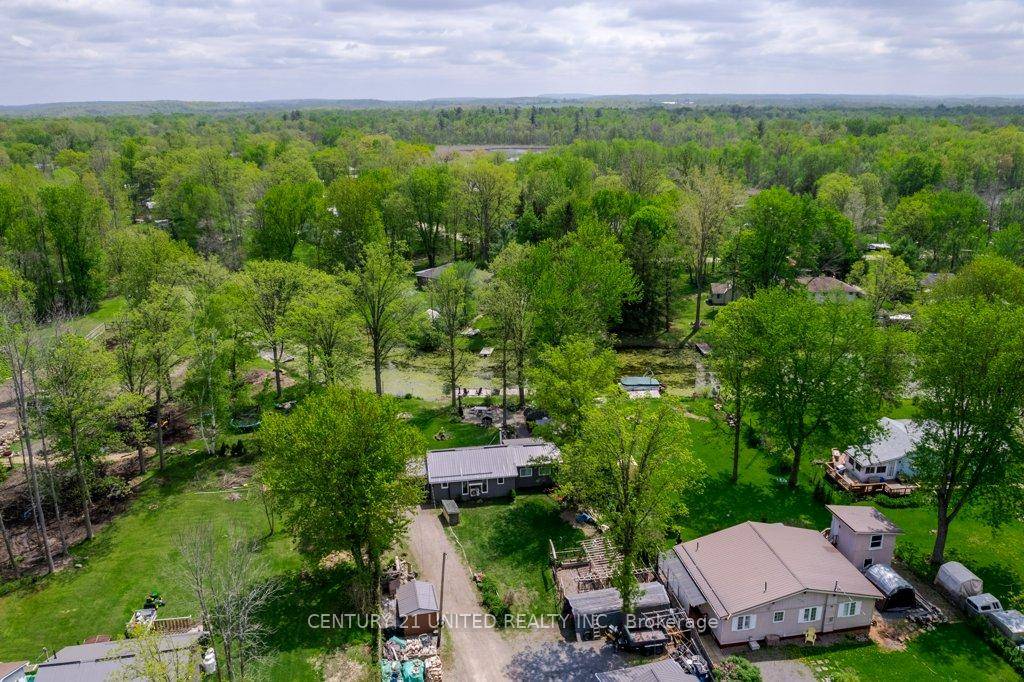Escape to a private getaway on a back channel of the Trent River, only 10 minutes from Campbellford.