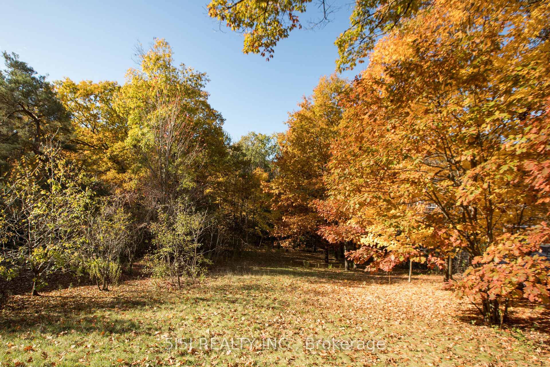 Prime Location Attention !