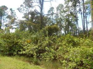 Here is a very nice 1 2 acre lot in desirable Lehigh acres, plenty of new construction going on here right now, paved roads, high and dry with many beautiful ...