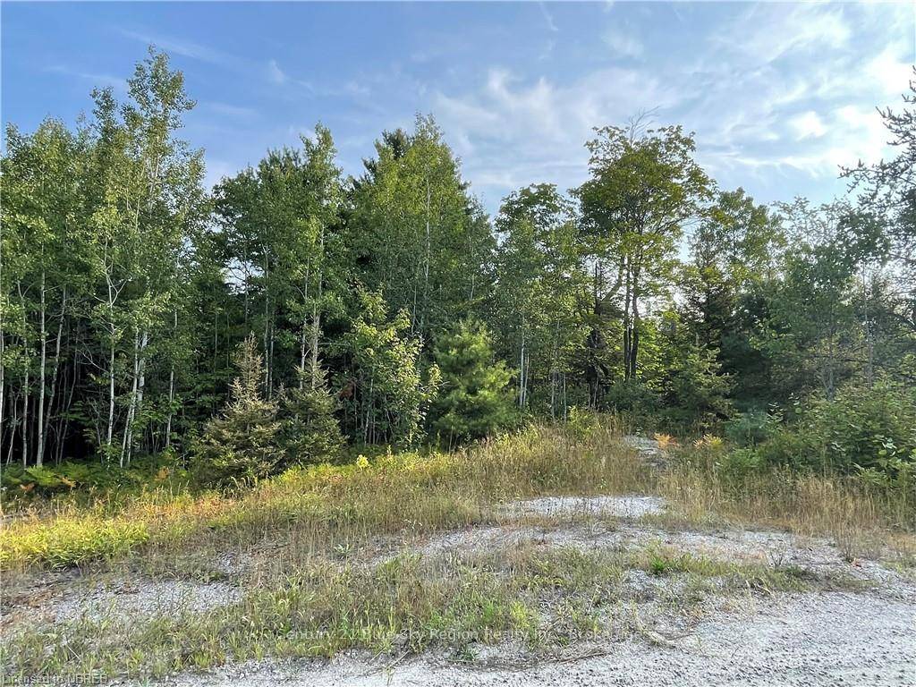 Here is your opportunity to own a stunning 10 acres of beautiful Northern Ontario.