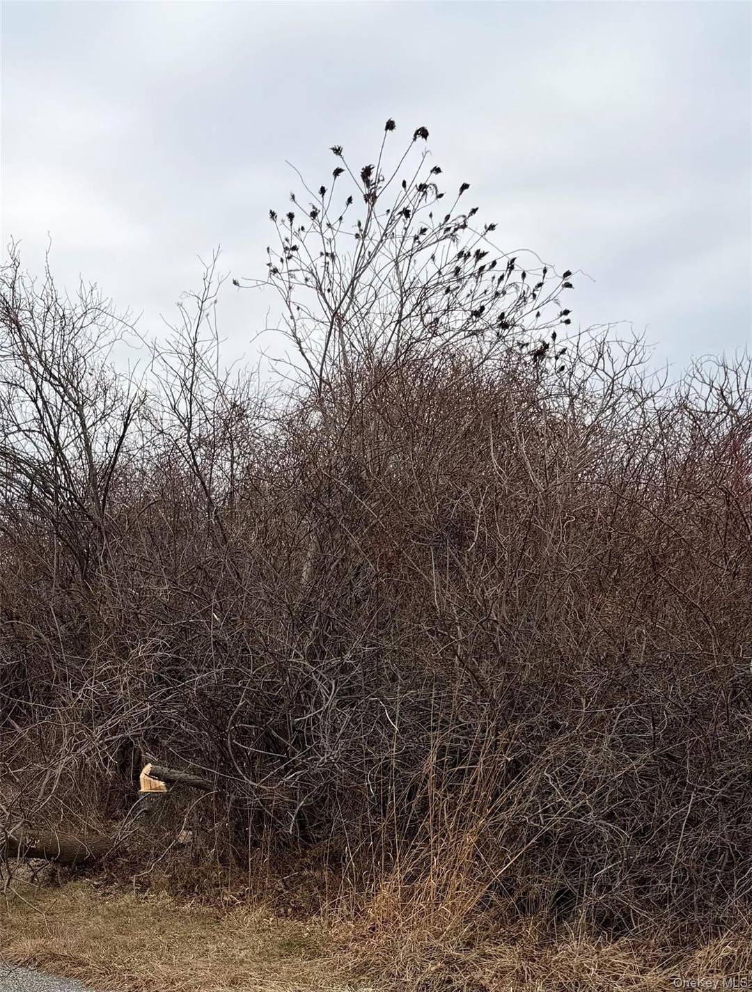 Located in Montauk 18 Homeward Ln is a vacant.