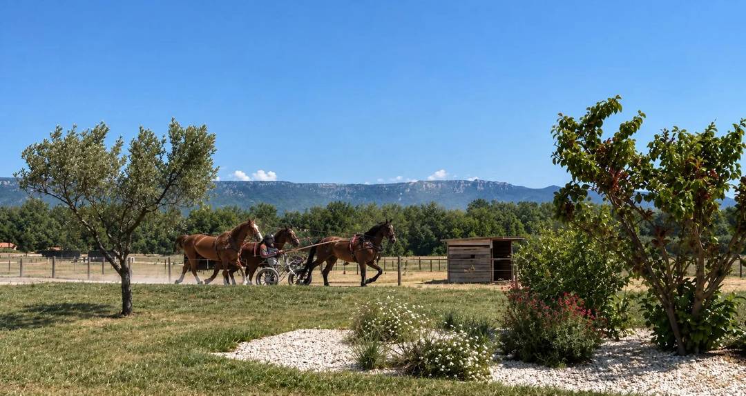 EXCEPTIONAL EQUESTRIAN ESTATE – BETWEEN AIX-EN-PROVENCE AND SALON-DE-PROVENCE