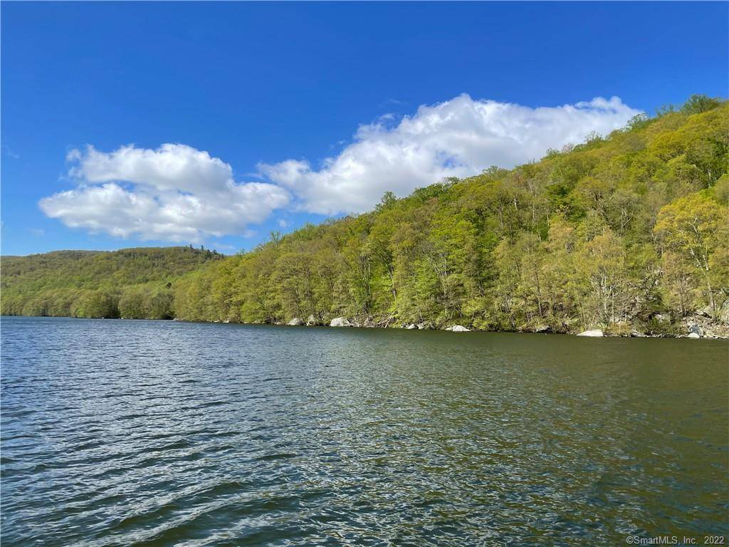 55 Wooded Acres along the western side of beautiful Wagon Wheel Rd.
