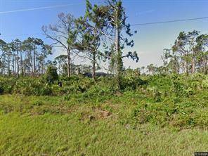Build your dream home on this beautifully wooded lot in the desirable waterfront community of South Gulf Cove.
