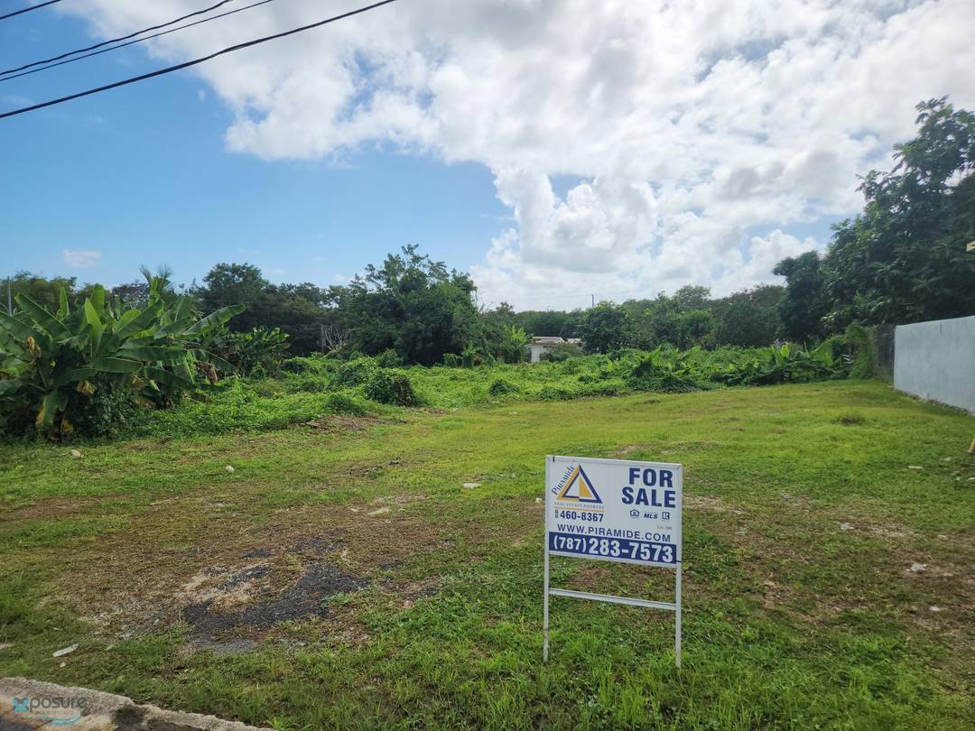 RAFAEL DE JESUS (BUENA VISTA) Land Humacao