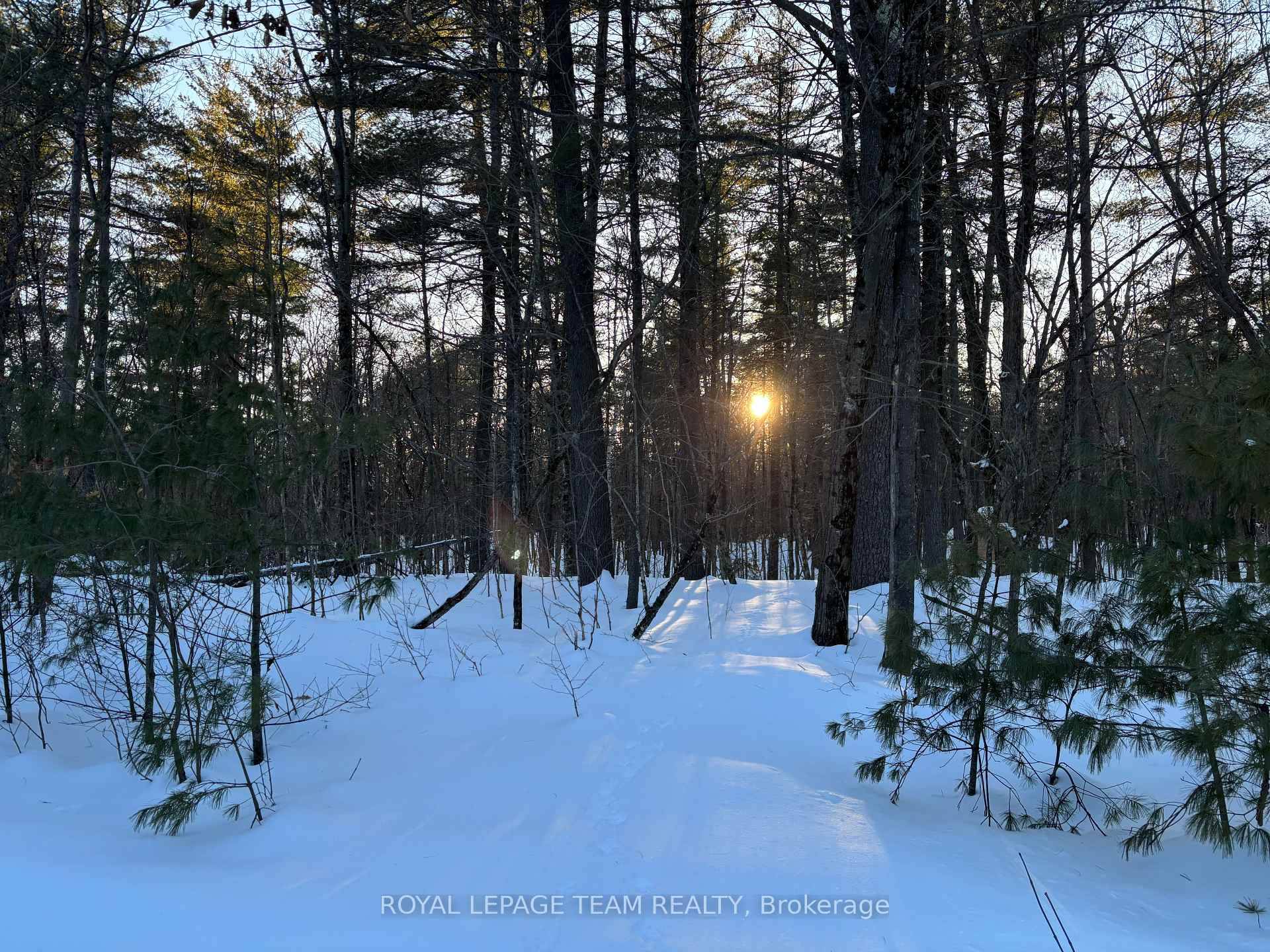 Stunning 8. 63 Acre Building Lot in Calabogie, Ontario.
