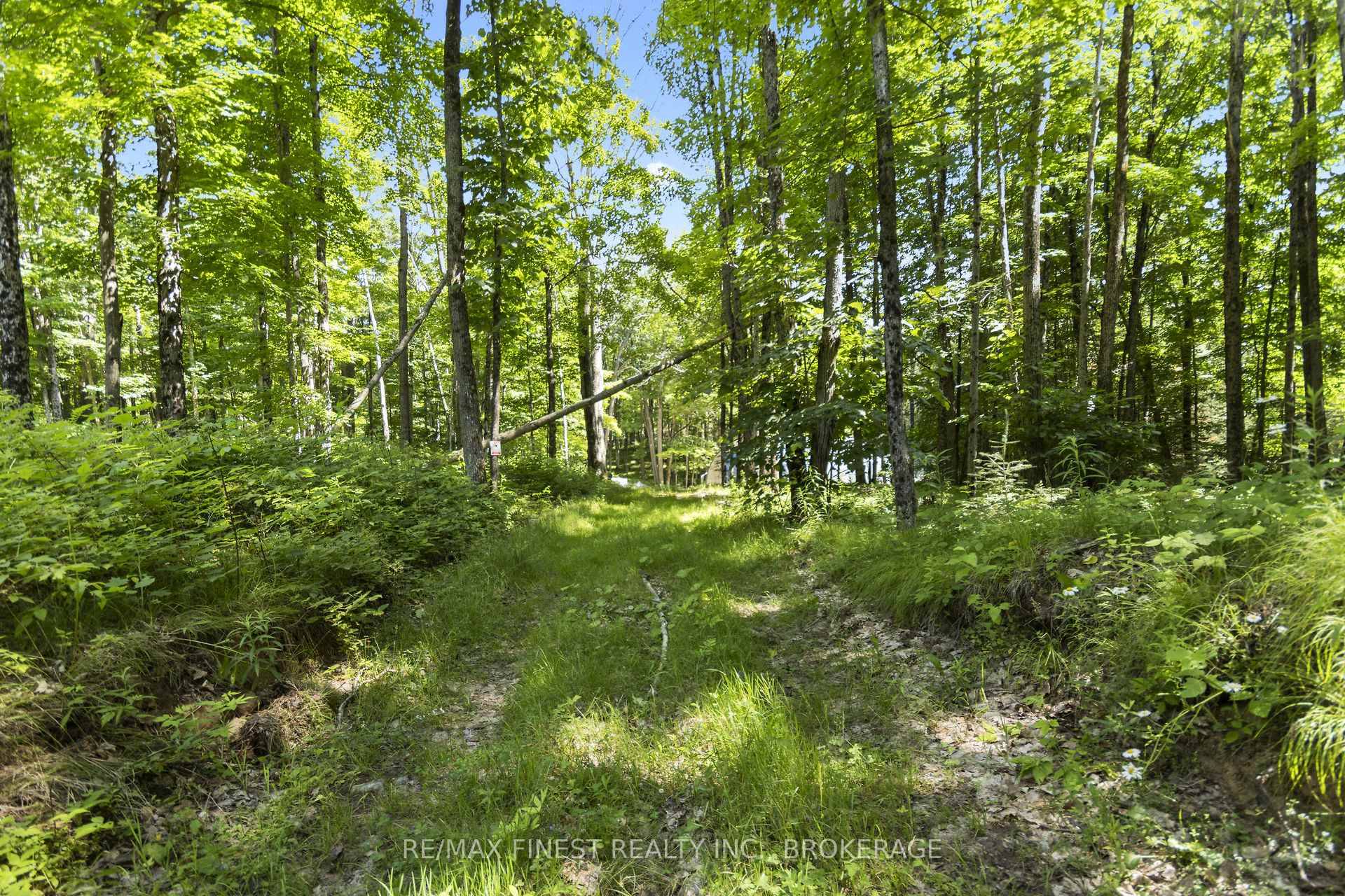 Beautiful 83 acre rural lot ready for you to build your dream home or remote get away.