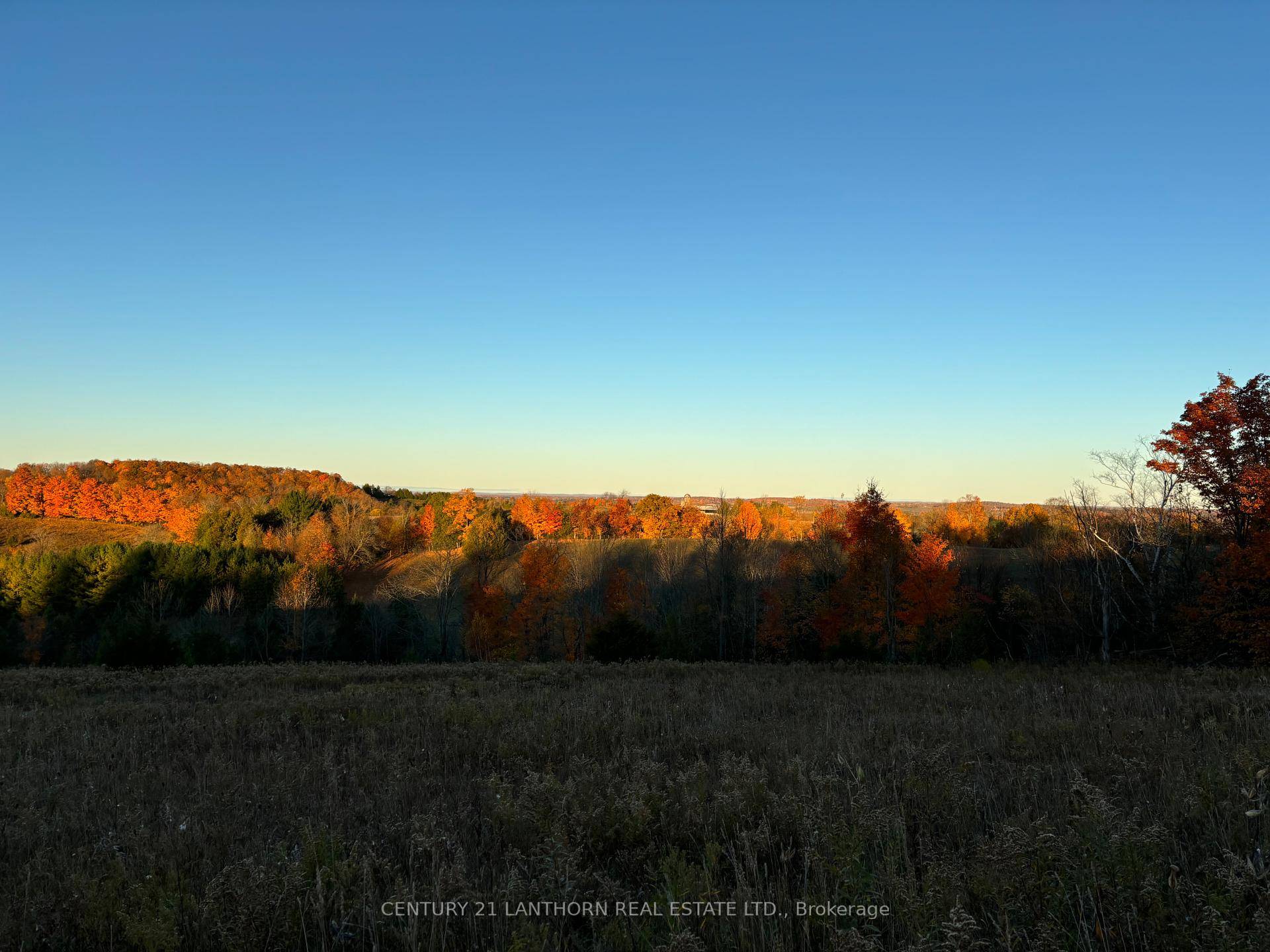 Beautiful hillside 11. 45 Acre lot.