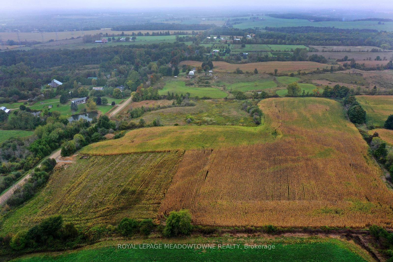 Are you looking for a blend of residential comfort with a 98 acre rural opportunity ?