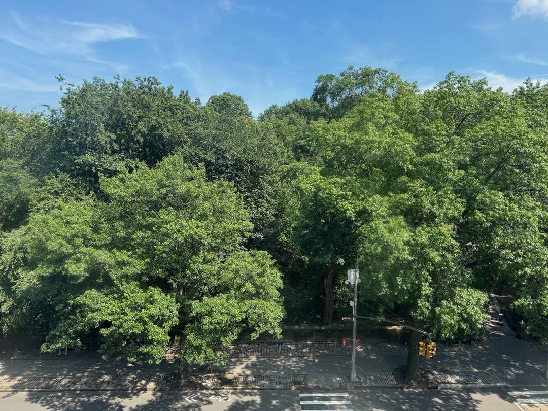 Direct Central Park Views 3 Bedroom, 2.