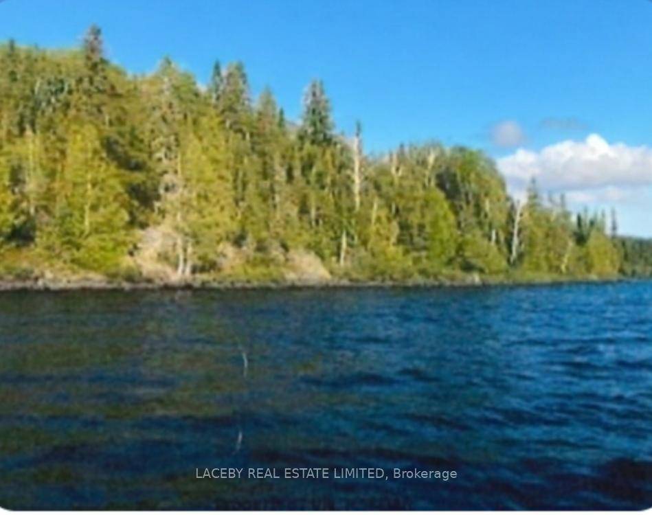 Don't Miss Out On This Affordable Opportunity To Own A Waterfront Property Located On Sesekinika Lake.