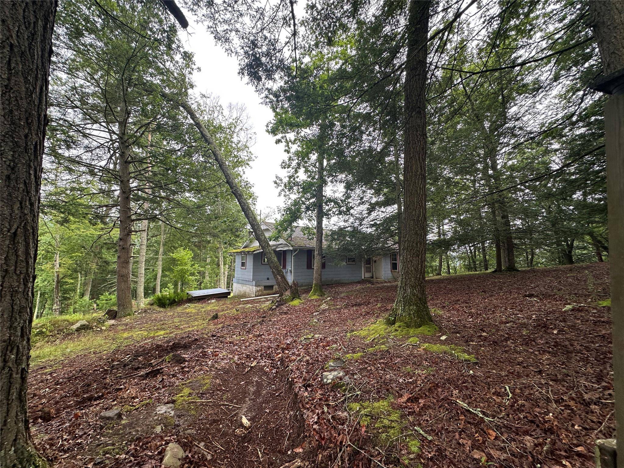 16. 5 acres partially flat and cleared, partially hilly land on the Delaware river with septic and well, with a fixer upper house on it.