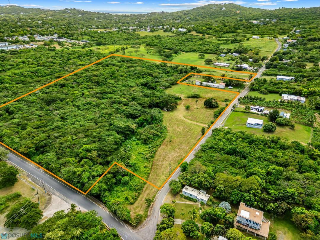 FLORIDAD WARD, VIEQUES Land Vieques