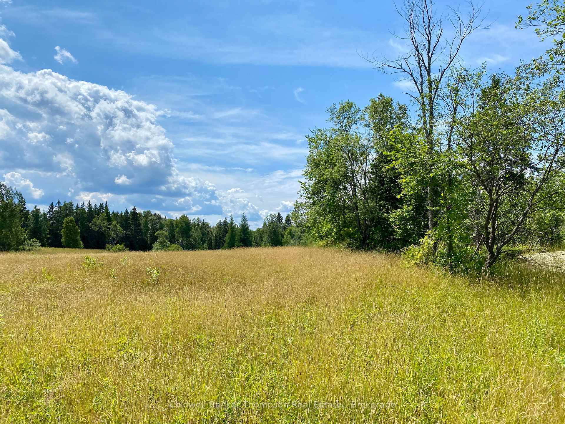 Beautiful Acreage with Rolling Fields and Forest !