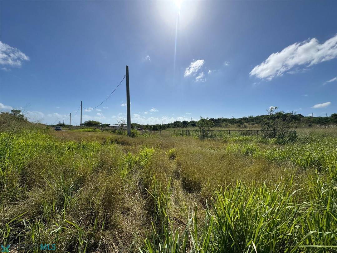 CARR. 542 BO. JAUCA, SECTOR CAYURE PREDIO Land Santa-Isabel