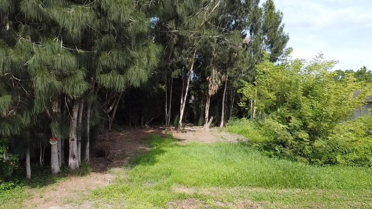 Come build your dream home in this.