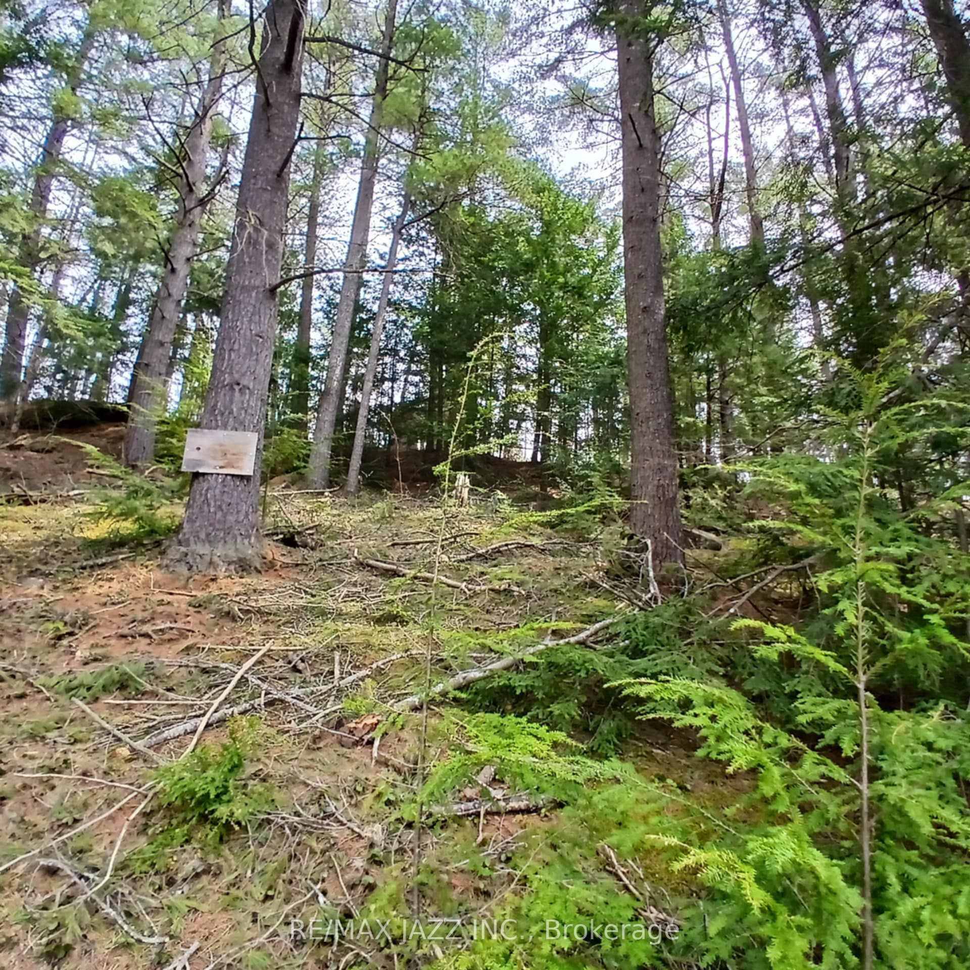 Direct Waterfront Lot with a Dock.