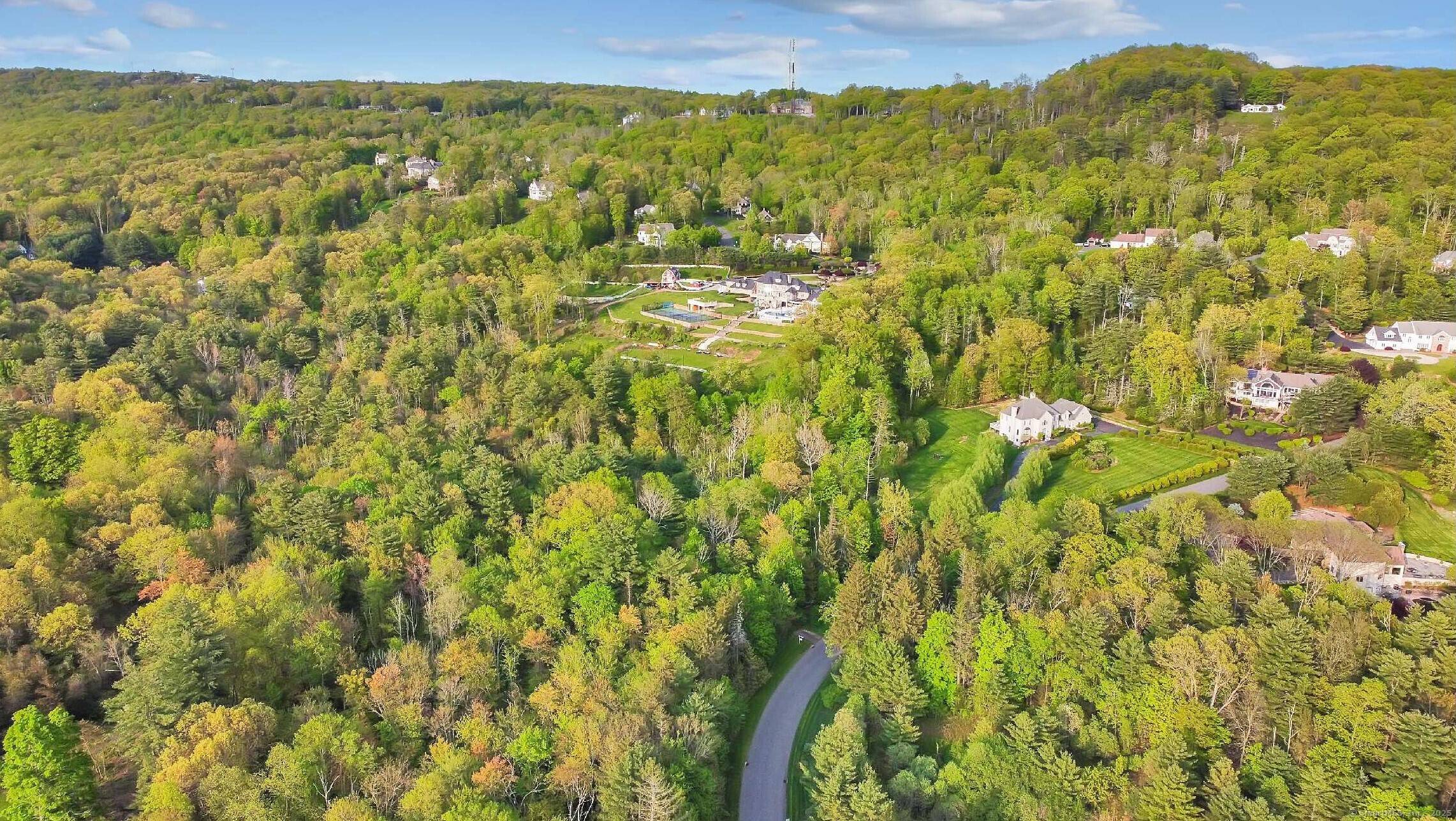 Imagine your dream estate nestled on this breathtaking 12 acre parcel, surrounded by scenic views and luxurious homes.