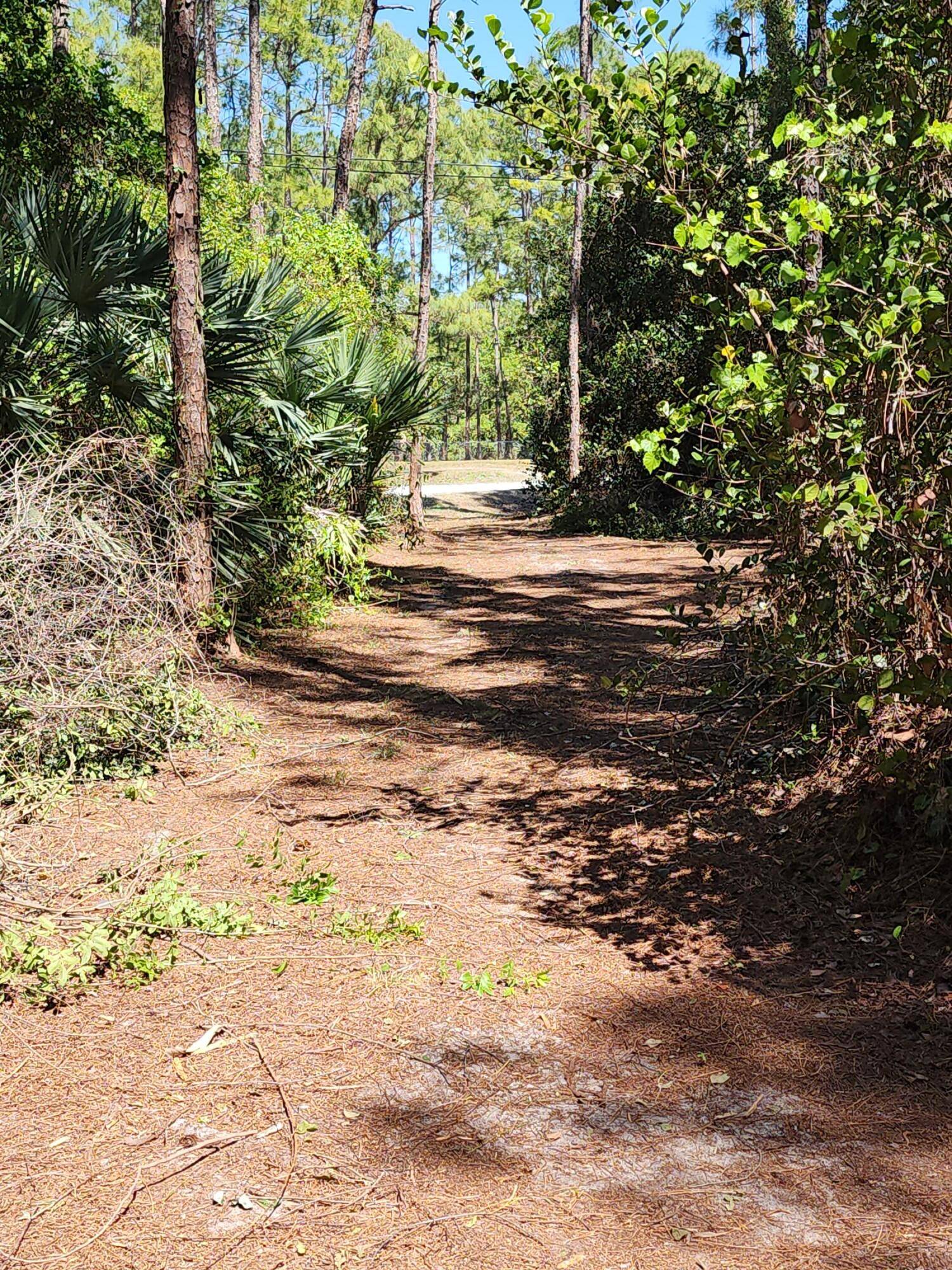 Beautiful uspoiled 1. 34 acre lot.