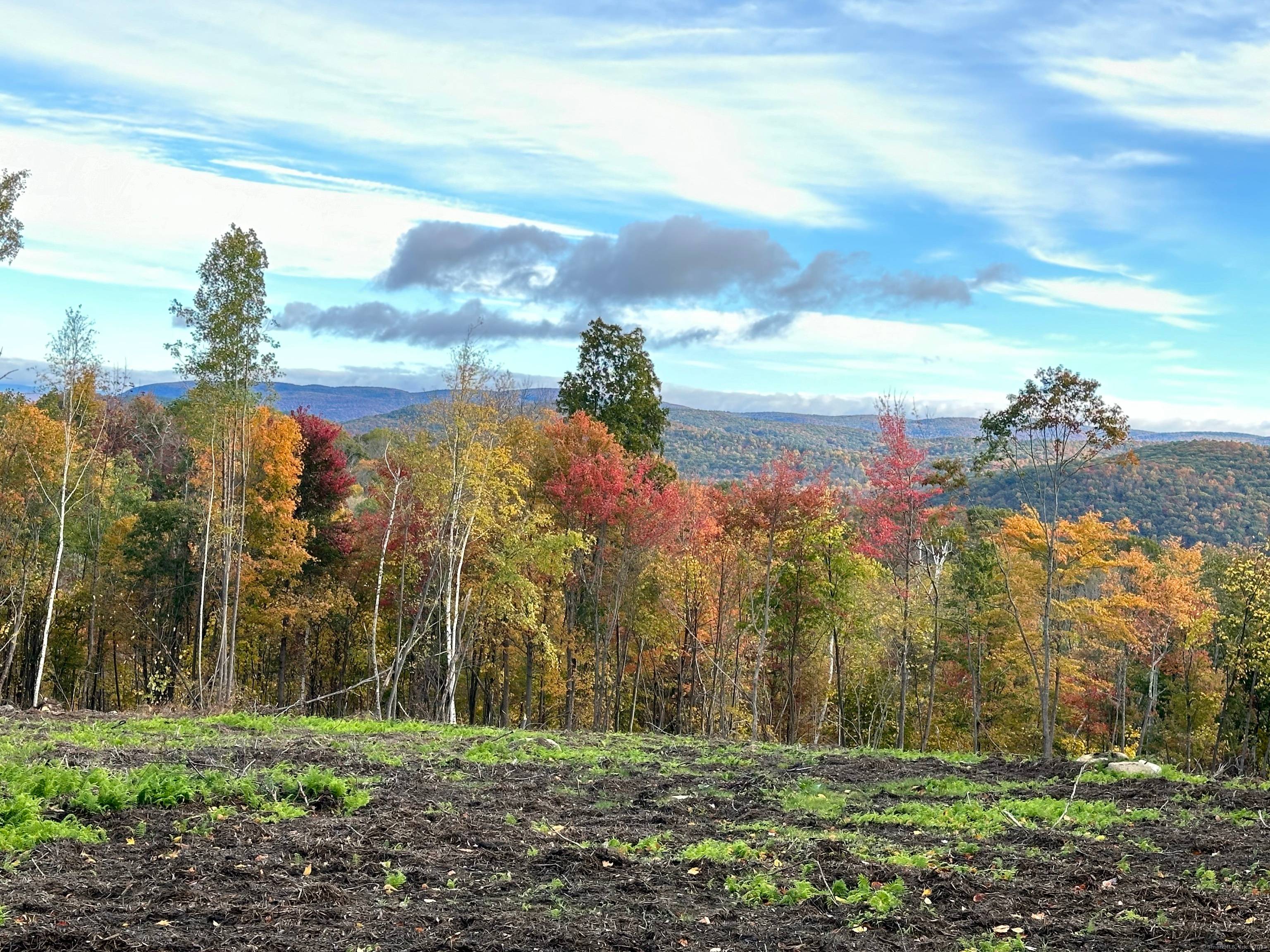 This listing is a combination of two lots Lots 3 and 4.